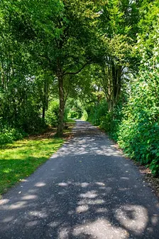 Lezing: Vallen en opstaan, de weg van ziekte naar herstel
