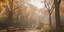 Fall Festival