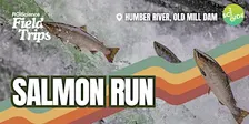 Field Trips: Salmon Run