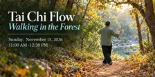 Tai Chi Flow: Walking in the Forest