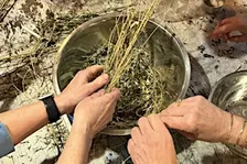 Workshop botanisch verven in Rotterdam - verf je eigen sjaal