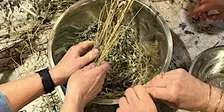 Workshop botanisch verven in Rotterdam - verf je eigen sjaal