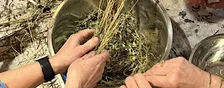 Workshop botanisch verven in Rotterdam - verf je eigen sjaal