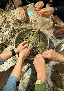 Workshop botanisch verven in Rotterdam - verf je eigen sjaal