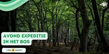 Avond expeditie in het bos (12+)
