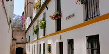 La Judería (La Sevilla de los Levíes, las raíces de Sefarad)