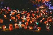 MIC & MRKT Vol. 3 (Halloween Edition)