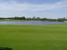 Turfgrass 101