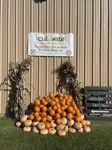 You Pick Pumpkins