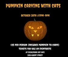 Pumpkin Carving with Cats