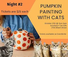 Pumpkin Painting with Cats- Night #2