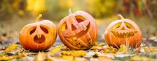 The Colonnade's "Great Pumpkin" Halloween Brunch