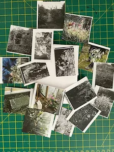 Communal: Eco-Emotions Collaborative Zine-Making