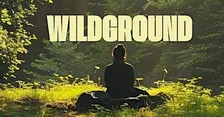 WILDGROUND - A full body reset, guided by the forest