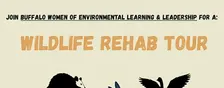 Wildlife Rehab Tour
