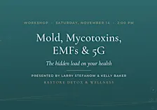 Mold, Mycotoxins, EMFs & 5G: The Hidden Load on Your Health