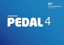 PEDAL 4 – Professional Express Delivery And Logistics