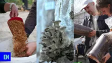 Workshop: grow your own mushroom with Rotterzwam
