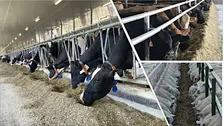 2026 Ruminant Feed Industry Day: Osgoode, Ontario