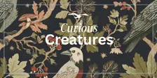 Curious Creatures