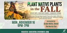 Plan and Plant Native Plants in the Fall