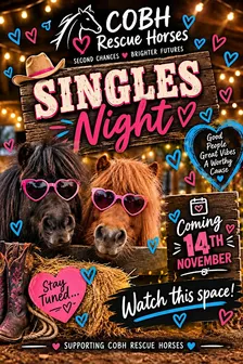 SINGLES NIGHT