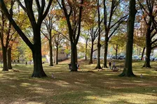 Memorial Grove Volunteer Clean Up Event