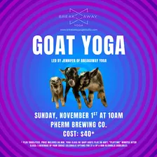 Goat Yoga at Pherm Brewing Co.