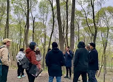 *SPECIAL* Nature Therapy Walk with Moire
