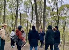 *SPECIAL* Nature Therapy Walk with Moire