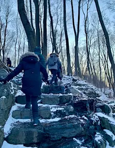 Winter Forest Bathing with Moire