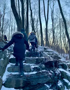 Winter Forest Bathing with Moire