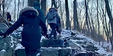 Winter Forest Bathing with Moire