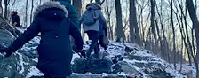 Winter Forest Bathing with Moire