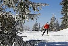 Beginner/Intermediate Mindful Cross-Country Skiing with Molly