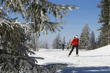 Beginner/Intermediate Mindful Cross-Country Skiing with Molly