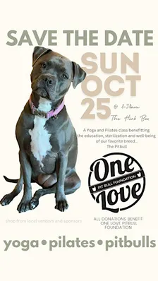 Yoga•Pilates•Pitbulls!