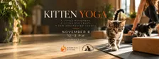 Kitten Yoga at Phoenix Rising