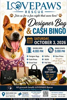 Lovepaws Animal Rescue Designer Bag and Cash Bingo