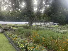 FREE Walk & Talk with Farm Manager, Alex