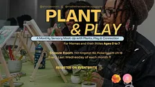 Plant & Play