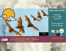 Live Bats for Kids