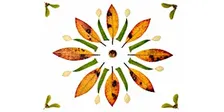 Fall Mandalas and Community Altar: an Afternoon of Creativity and Intention