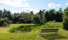 Morning Meditation in the Park