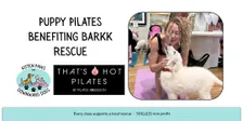 Puppies & Pilates Benefitting BARRK Rescue