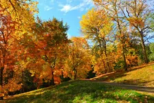 Wellbeing Day at SCCUL Sanctuary