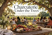 Women & Charcuterie Under the Trees | A Vineyard Experience