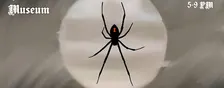 The Black Widow Ball