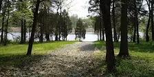 Tree Identification Workshop
