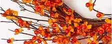 Whimsical Fall Bittersweet Wreath | Brenda Dwyer, instructor